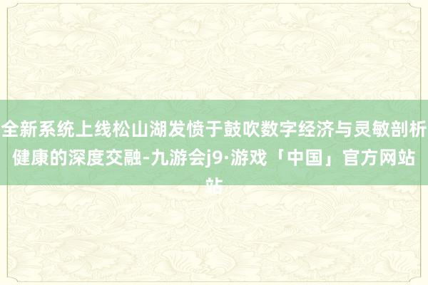 全新系统上线松山湖发愤于鼓吹数字经济与灵敏剖析健康的深度交融-九游会j9·游戏「中国」官方网站