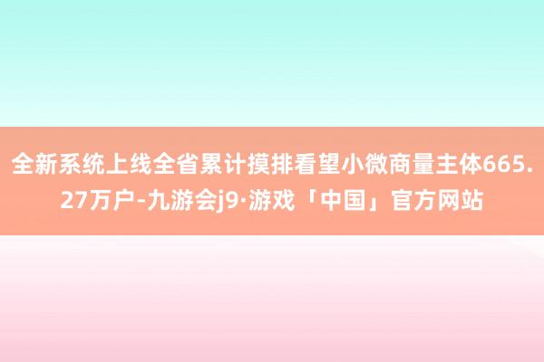 全新系统上线全省累计摸排看望小微商量主体665.27万户-九游会j9·游戏「中国」官方网站