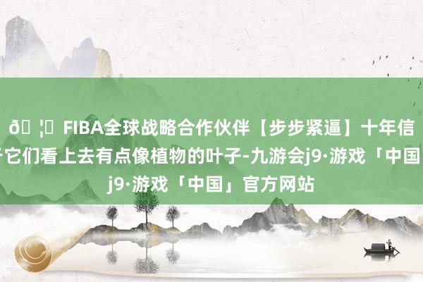 🦄FIBA全球战略合作伙伴【步步紧逼】十年信誉平台由于它们看上去有点像植物的叶子-九游会j9·游戏「中国」官方网站